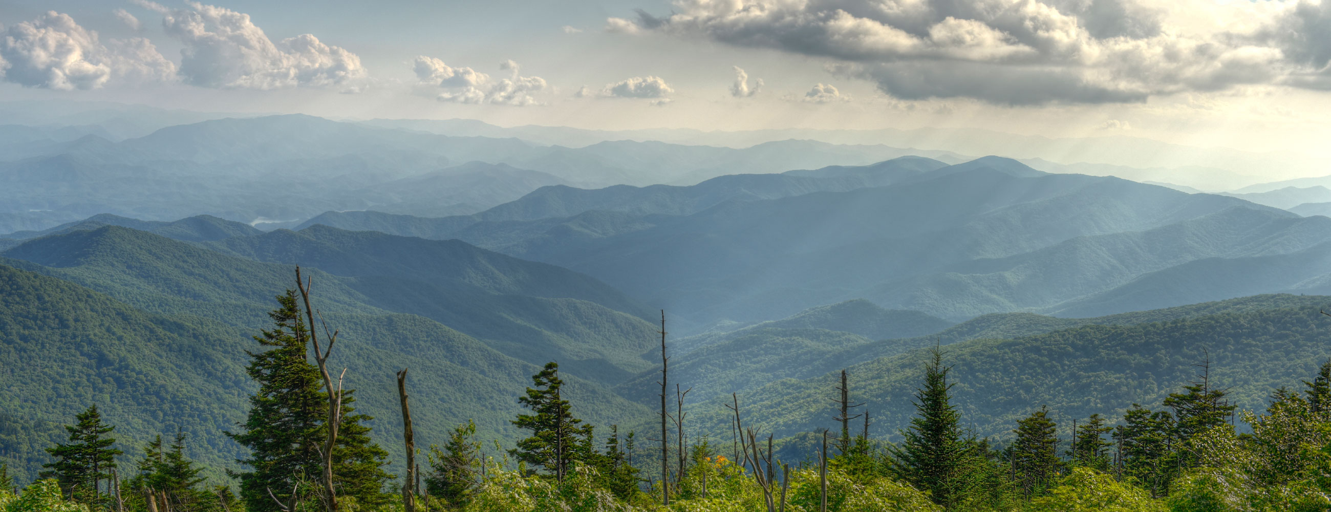 gilbertloutfi_creations